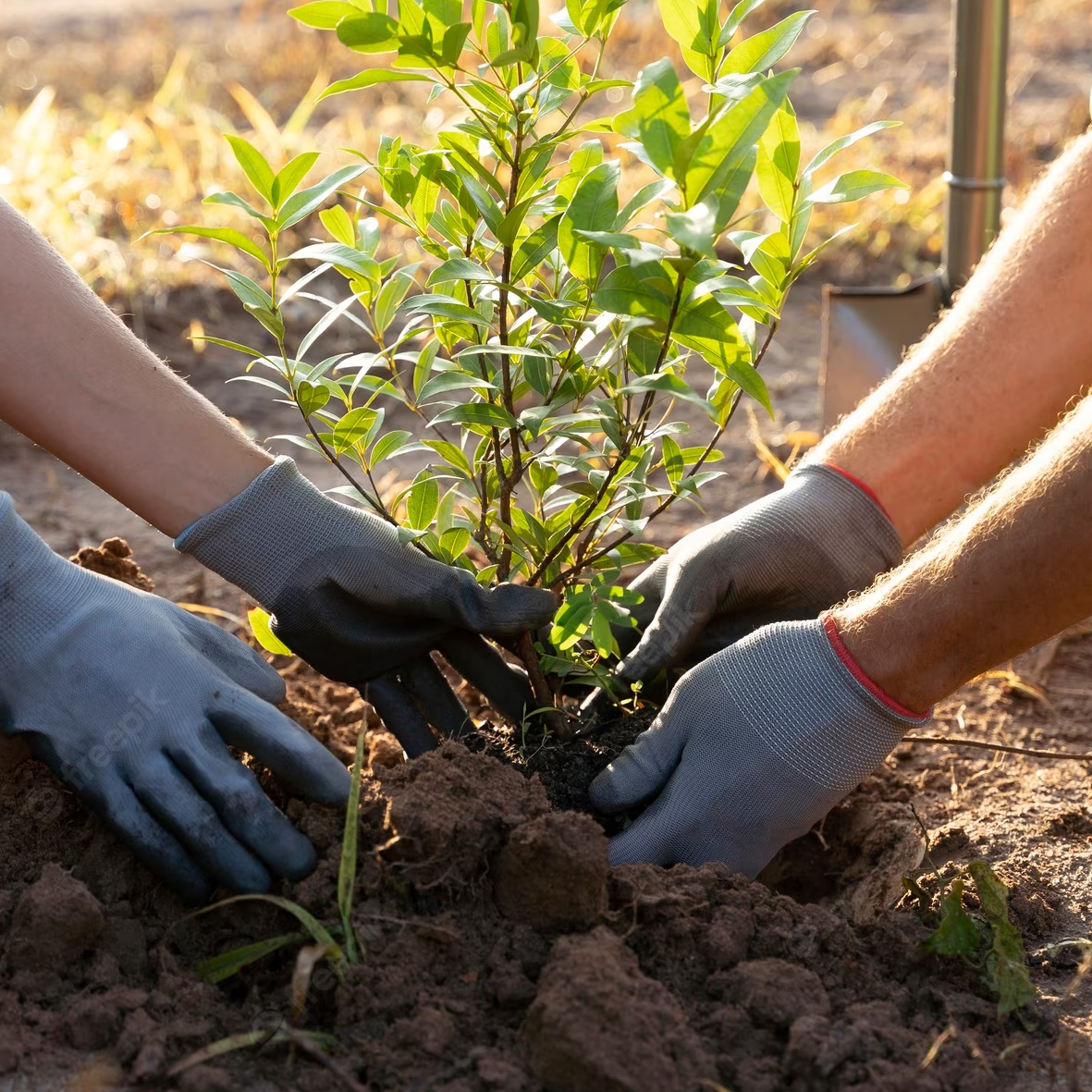 responsabilidad social corporativa eventos corporativos masseventos 5